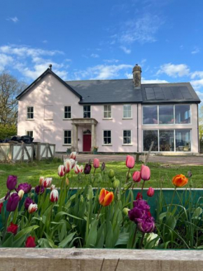 The Pink House